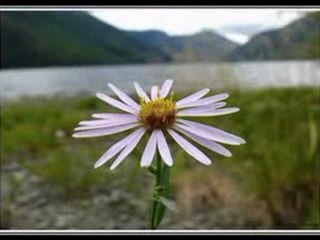 edip akbayram-gel acelem var