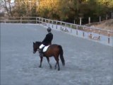 Dressage Blond Club 2 Grand Prix -Lylouille-