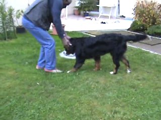 DANA fait des progrès (6)