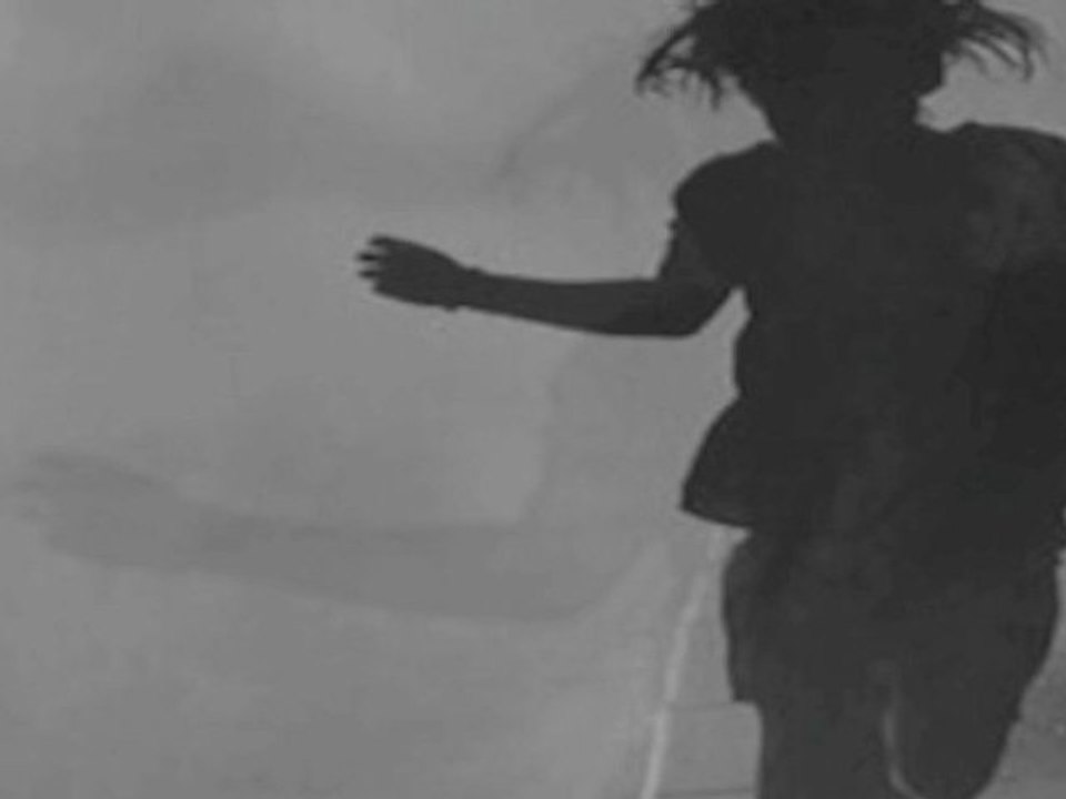 PAN INO Eisbären und Menschen