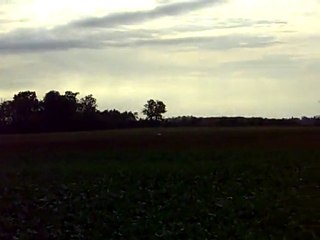 CLIP0009