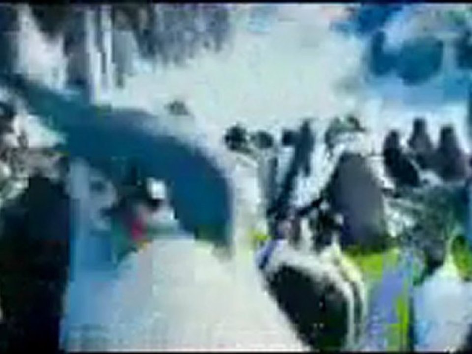 Happy Feet 2