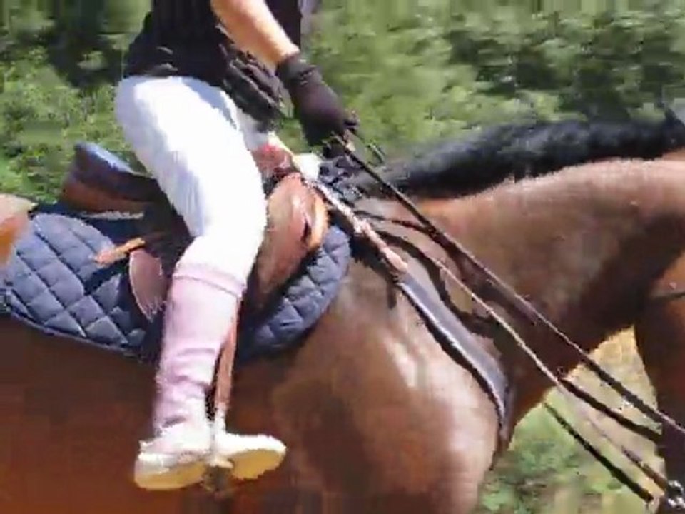 Polka de la crecque