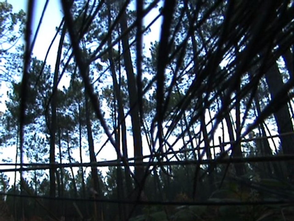 2008/10/19 08:41
