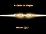 Soirée de sélections du championnat d'île-de-France de karaoké à la Baie de Naples (Meaux, 77) - Interprêtation de Floralachanteuse