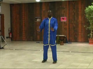 Démonstration convergences kung-fu whushu 1