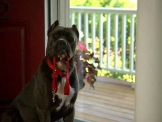 Change Your Clock Change Your Battery