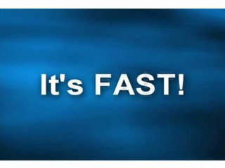 Best Dog Training Secrets