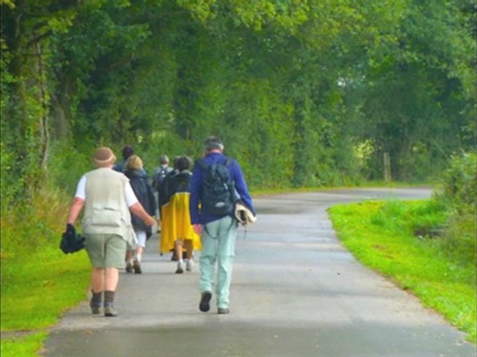 Marche Montfortaine
