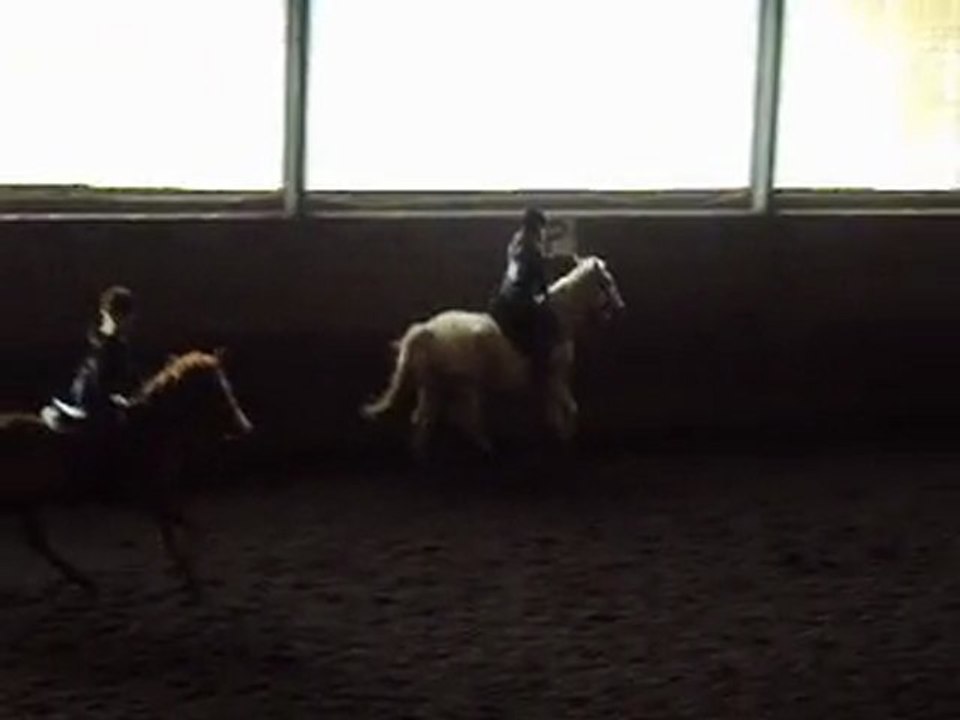 Ninja & moi au galop