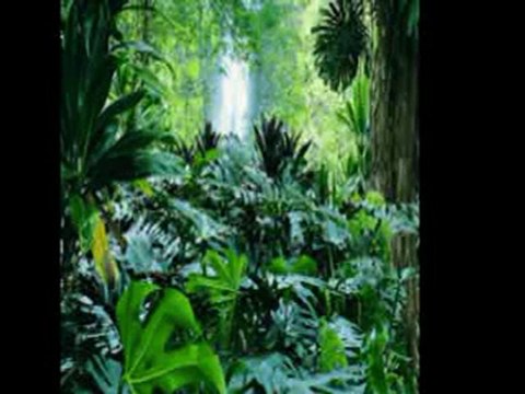 VB Atatürk İlköğretim Okulu TRECON Project Against Environmental Pollution And Global Warming