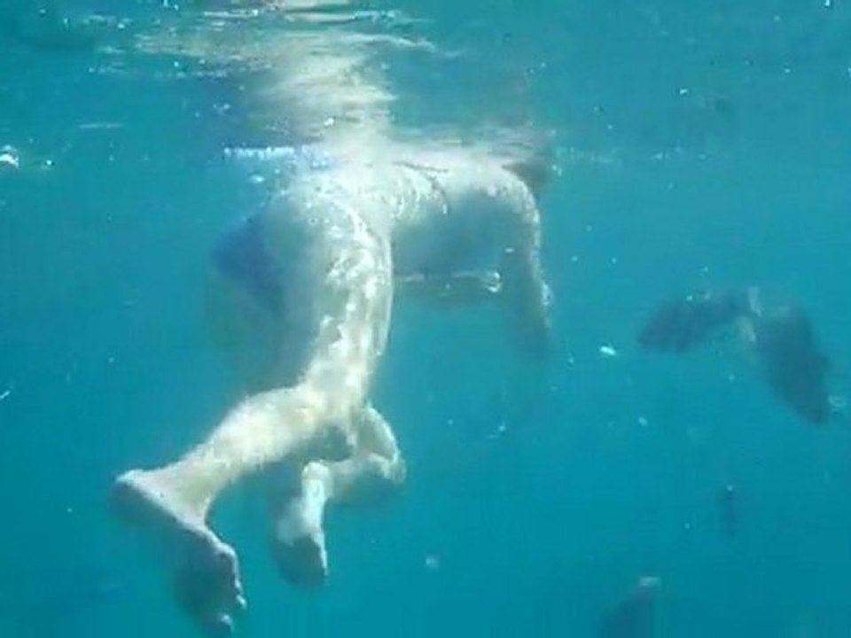 Nourrir les poissons - part 2