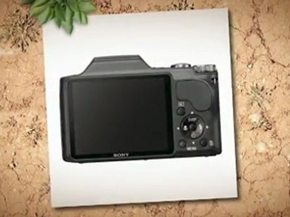 Sony Cyber-shot DSC-H20 B 10.1 MP Digital Camera - Top  ...