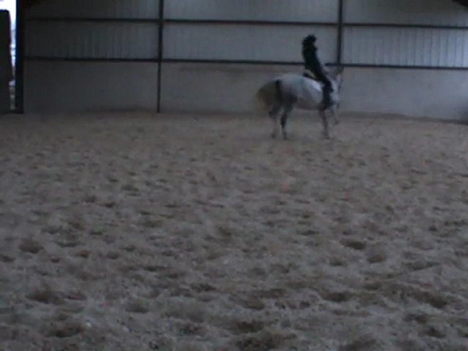 cercle et allongement