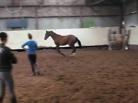 05 11 2011 Vouvray Sandillon 01