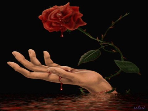 orhan gencebay&tövbe tövbe