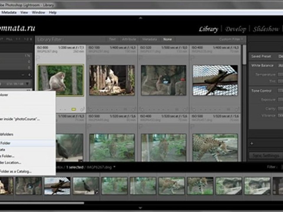 Урок 008 полного русского курса по Lightroom 2