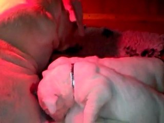 Les chiots filmés le 06-11-2011