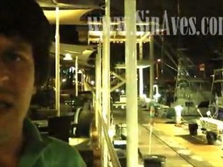 Tanza anti aves Bayside 2