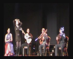 Extrait, Ricao en concert au César Pallas de Vedène (84) le 04 Novembre 2011
