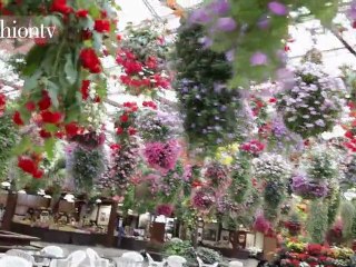 Fashion Destination: Kobe with Miss Universe Japan | FTV