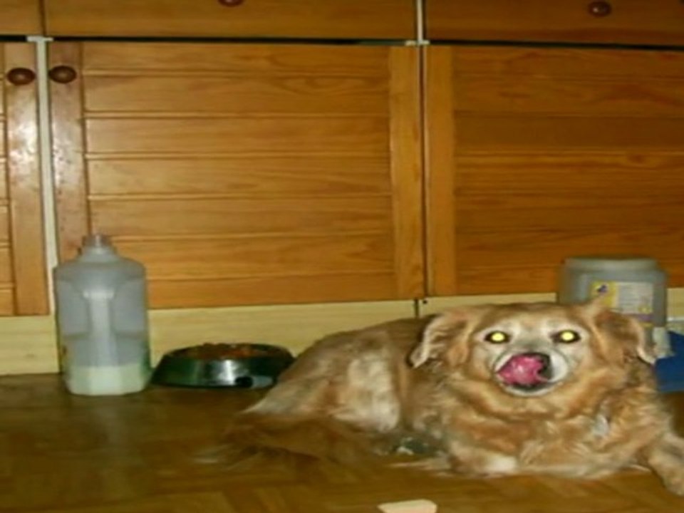 Das is ( war) meine Buffi