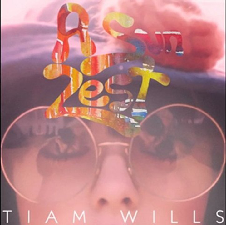 Tiam Wills - Disquette