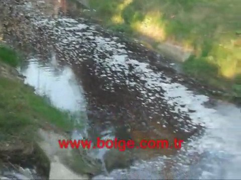 SAFRAN DERESİ KIRMIZIYA BÜRÜNDÜ ( bolge.com.tr)