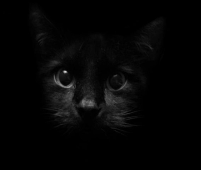 mE² (by) TomCat68