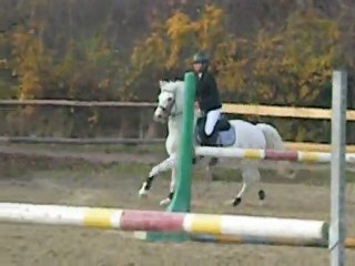 cso galop 7