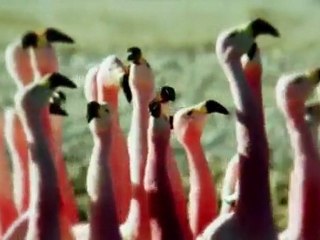 allahın yaratma sanatı büyük Dünyayın güzellikleri