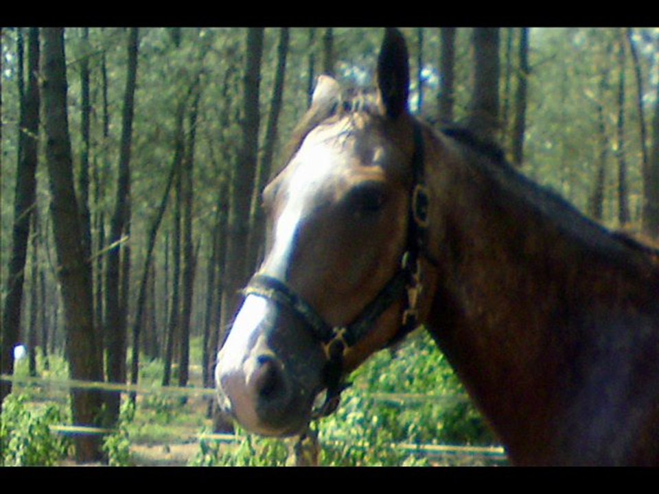 ROUANNE