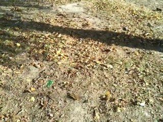 video-2011-10-23-16-39-23