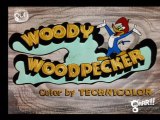 Woody Woodpecker - 