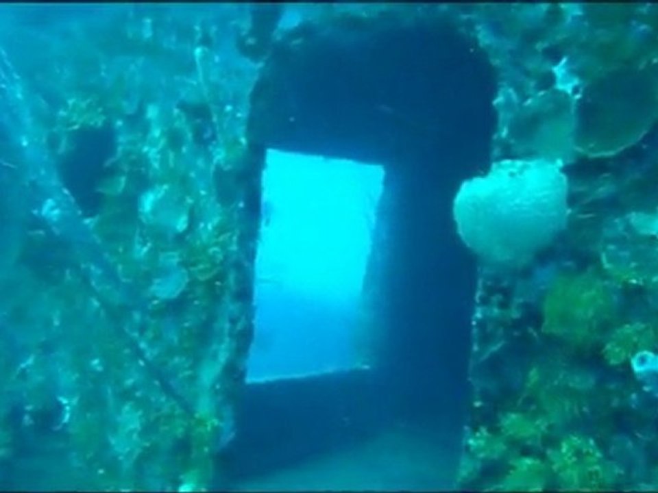 L'épave du Halli Burton, Utila, suite