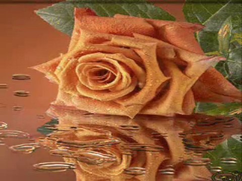 Yaka gelir yaka gider Çinuçen Tanrıkorur