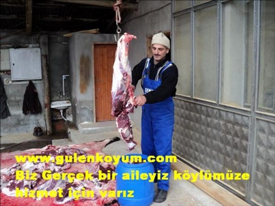 kurban