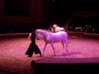CONCERT EQUESTRE AU DOMAINE DE CHANTILLY