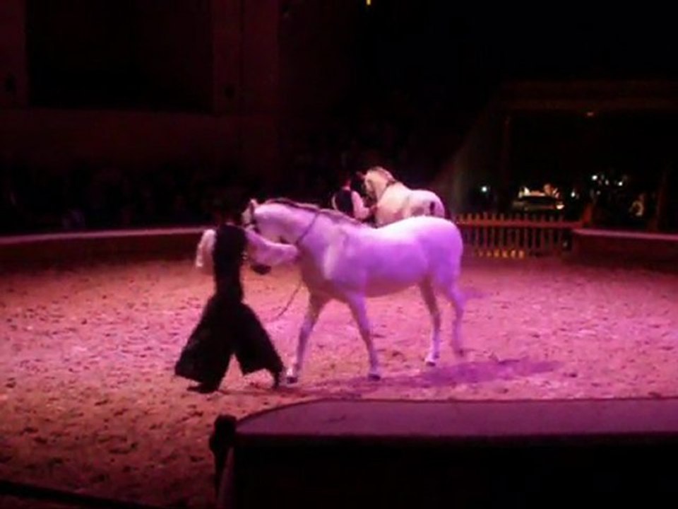 CONCERT EQUESTRE AU DOMAINE DE CHANTILLY