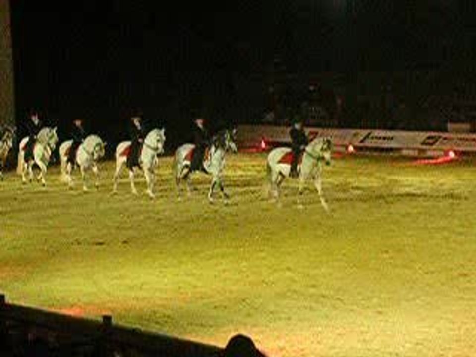 chevo espagnol salon du cheval