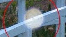 Das Phänomen der ORBs-parapsychologie erkan