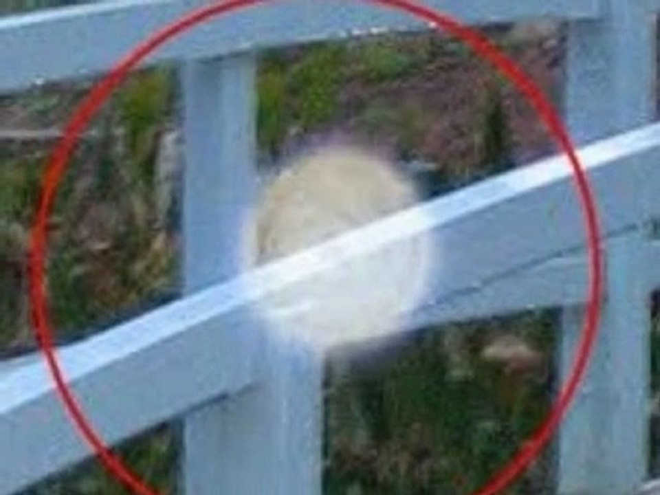 Das Phänomen der ORBs-parapsychologie erkan