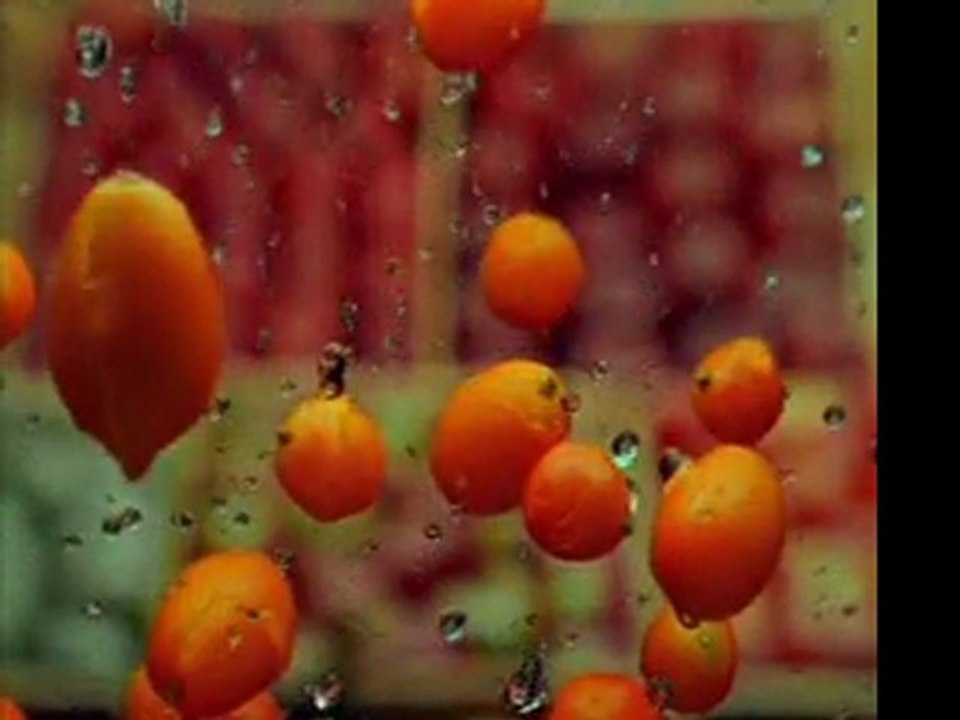 Baby Einstein Baby Newton Discovering Shapes Video Dailymotion