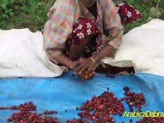 One person can make a huge difference