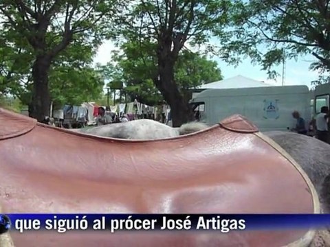 Uruguayos marchan 536 km a caballo
