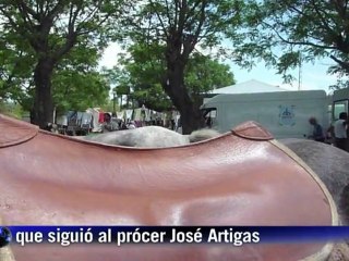 Uruguayos marchan 536 km a caballo