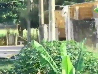 Cinegrafista da Band filma a Hora em Que É Baleado e Morto no Rio De Janeiro