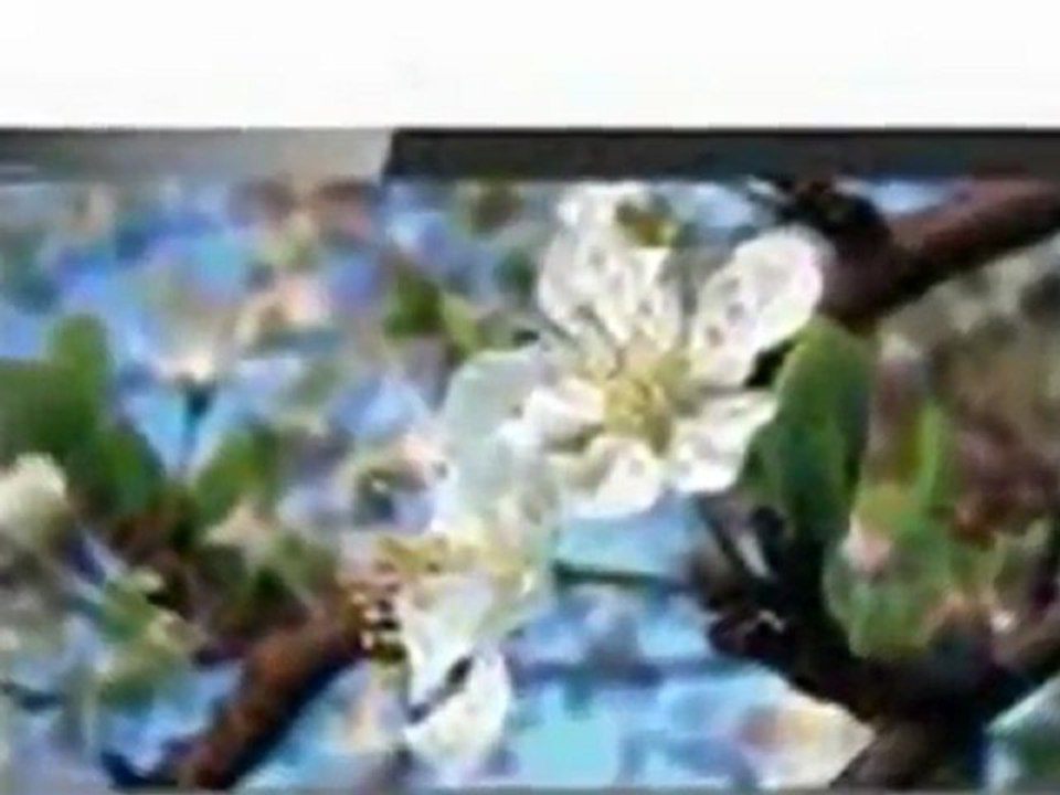 Sony Bravia S-Series KDL-40S5100 40-Inch 1080p LCD HDTV, Black