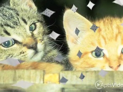 SunCreek Village Apartments in Albuquerque, NM - ForRent.com