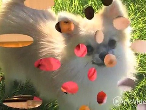 La Jolla Apartments in San Antonio, TX - ForRent.com